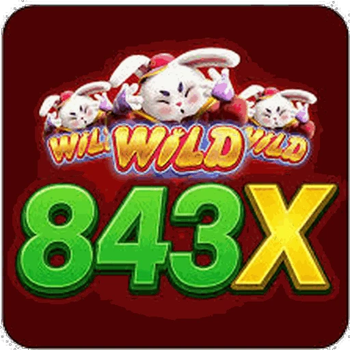843X